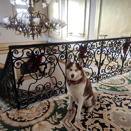 Korona Hotel Nyíregyháza 외부 사진