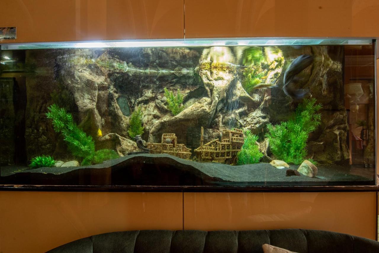 Korona Hotel Nyíregyháza 외부 사진